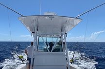 3/4 day deep sea /light tackle fishing 