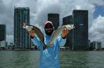 Miami Inshore Fishing Charters on Biscayne Bay
