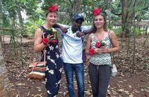 Zanzibar Spice Farm Tour - Group and Private Options