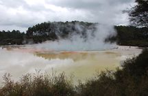 Private Tour Waiotapu Geothermal Shore Excursion up to 8 passengers