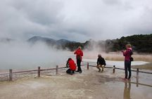 Private Tour Waiotapu Geothermal Shore Excursion up to 8 passengers