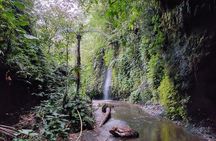 Get wet on Bali's most stunning waterfalls 