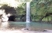 Get wet on Bali's most stunning waterfalls 