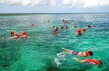 Catalina Island & Snorkeling Tour