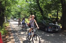 Small Group Cycling Tour in Tokyo