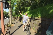 Small Group Cycling Tour in Tokyo