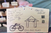 Small Group Cycling Tour in Tokyo