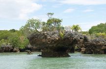 Blue Safari Tour
