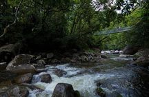 Cape Tribulation, Mossman Gorge and Daintree Rainforest Day Tour
