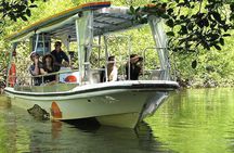From Cairns: Cooktown, Daintree & Outback 3 Day Small-Group Tour