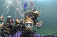 Discover Scuba Diving (DSD) 1 day Experience