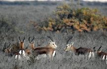 Shirvan National Park Tour