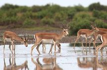 Shirvan National Park Tour