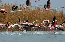 Shirvan National Park Tour