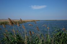 Shirvan National Park Tour