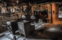 Auschwitz & Birkenau Live Guide Tour Entrance Ticket