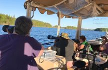 Cruise in Puumala by Lake Saimaa