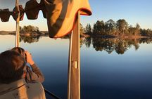 Cruise in Puumala by Lake Saimaa