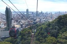 1-Day Kobe Highlights Tour including Sake Tasting