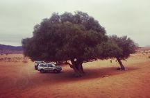 Agadir Trip To Mini Desert / Safari Tour