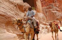 Aqaba Shore Excursion: Private Petra Sightseeing Tour with Lunch