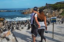 Cape Agulhas Full Day Private Tour from Cape Town