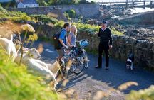 Burren Private Guided E-Bike Tour, with visit to Poulnabrone Tomb