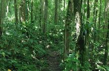 Vermont Nature Trail Hike