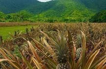 SoCoHo Jeep Safari - Historical Sites - Lunch - Beach