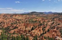 Horseback Riding Experience through Red Canyon with a Guide
