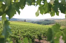 Half-Day Chianti Wine Tasting from Florence with Two Wineries