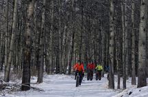 Fatbike Frozen Waterfall Tour