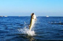 Tampa Bay Inshore Fishing Charters