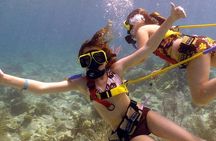 Snuba Adventure at Coral World Ocean Park