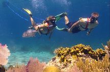 Snuba Adventure at Coral World Ocean Park