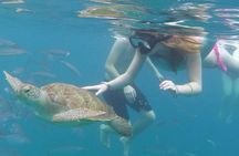 Good Times Too Premium Catamaran Lunch Cruise 