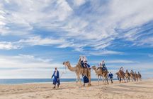 Desert & sea, Camel Safari tour in Los Cabos with lunch