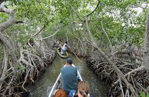 Private Mangrove Tour + Lunch + Horse riding + fishing classes
