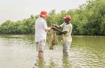 Private Mangrove Tour + Lunch + Horse riding + fishing classes