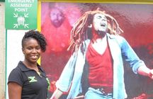 Kingston City Tour from Ocho Rios or Runaway Bay