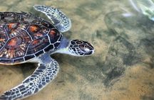 4-Day Sri Lanka Coast Tour