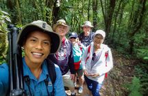 (Private)Nature History Walk