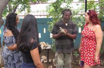 Kingston City Tour (starting in Kingston)