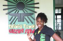 Kingston City Tour (starting in Kingston)