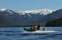 Small-Group Zodiac Wilderness Adventure from Ketchikan