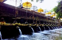 Bali Swing Ubud Private Day Tour