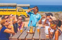 Desert & sea, Camel Safari tour in Los Cabos with lunch