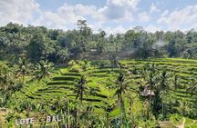 Bali Swing Ubud Private Day Tour