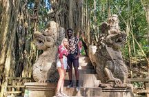 Bali Swing Ubud Private Day Tour