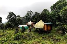 Chicaque Natural Park - Hiking or Birdwatching experience